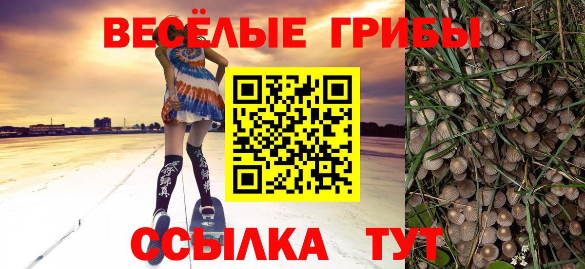 Галлюциногенные грибы ЛСД  Псилоцибиновые грибы Psilocybine cubensis  Вход с VPN  купить   Тельмана 